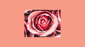 Blooming Haus Blooming Haus