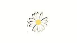 Flowers By KJ Creations Flowers By KJ Creations