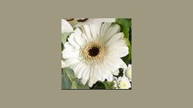 Magnolia Florist Magnolia Florist