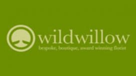 Wild Willow