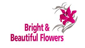 Bright & Beautiful Flowers