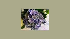 Aura Design Flowers & Balloons Aura Design Flowers & Balloons