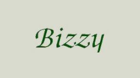 Bizzy Lizzy Florist