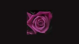 Calla's Florist Calla's Florist