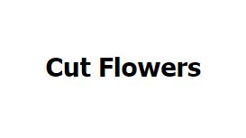 Cut Flowers