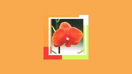 Orchid Floral Designs Orchid Floral Designs