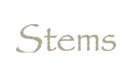 Stems Florist