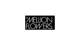St Mellion Flowers