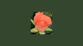 Sunflowers Florist Sunflowers Florist